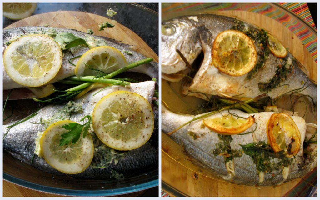 Pagrindinė įrašo iliustracija