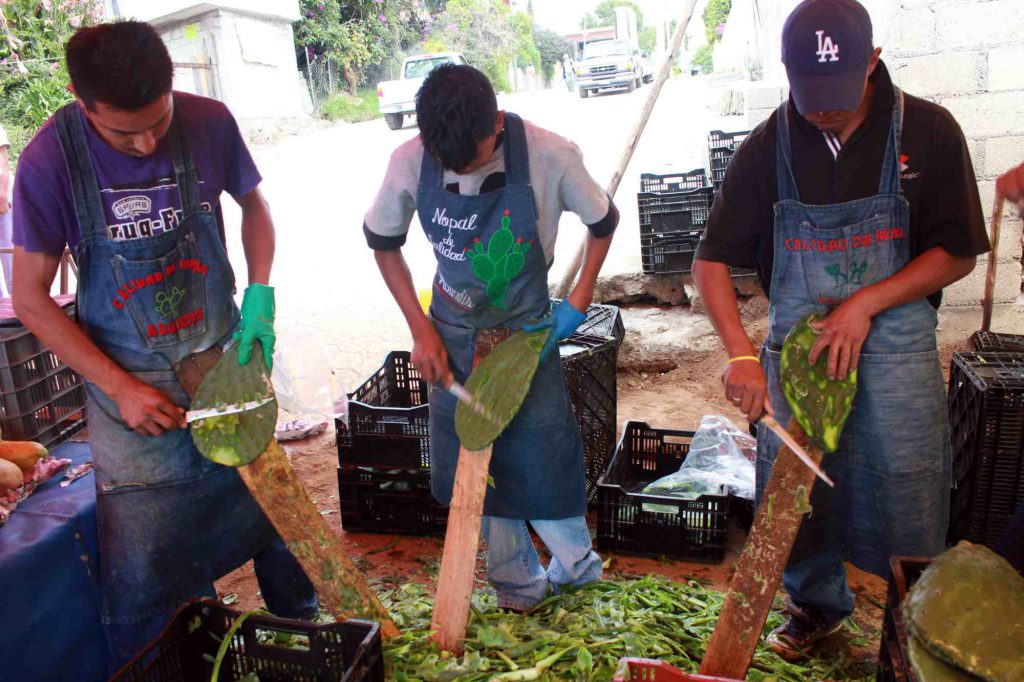 Pagrindinė įrašo iliustracija