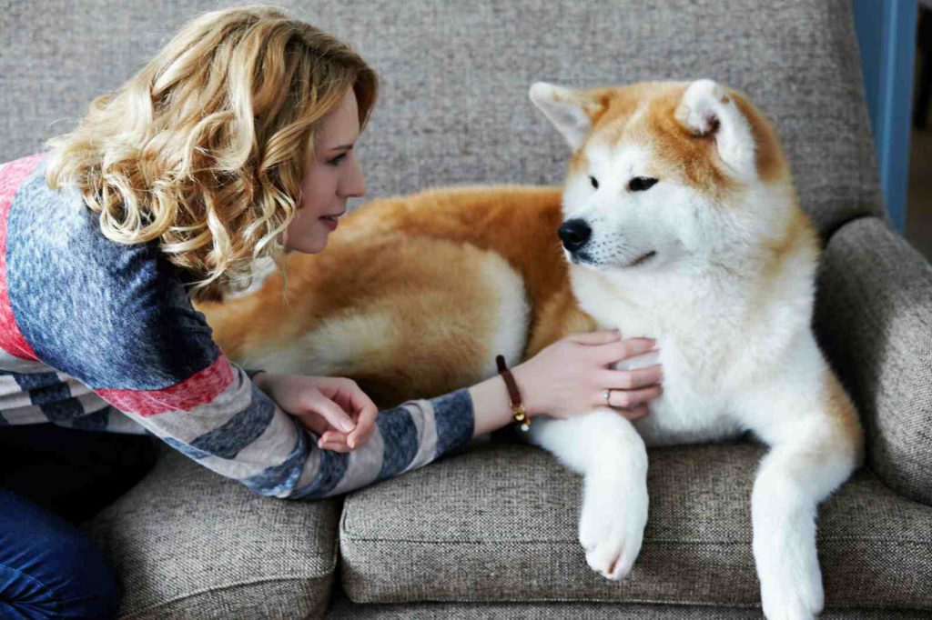 Pagrindinė įrašo iliustracija