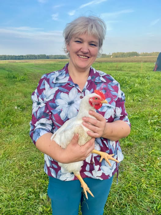 Pagrindinė įrašo iliustracija