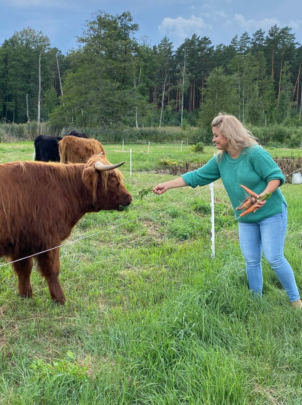 Įrašo iliustracija