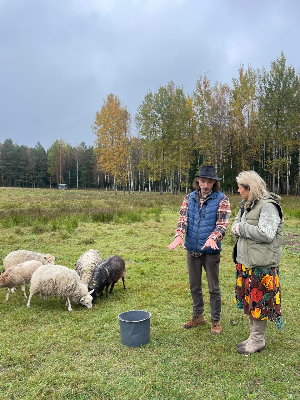 Pagrindinė įrašo iliustracija